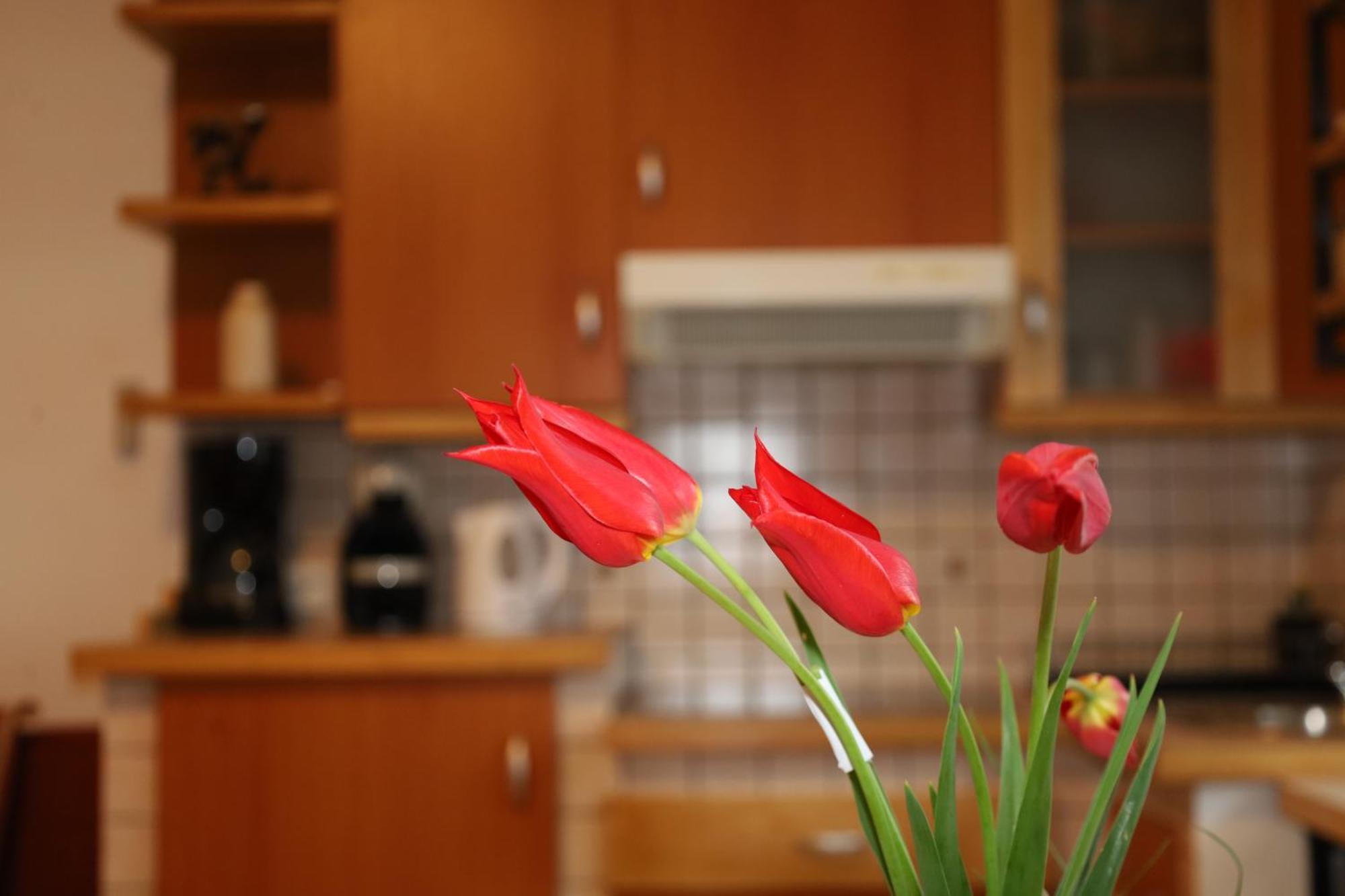 Apartment Norma Bovec Esterno foto
